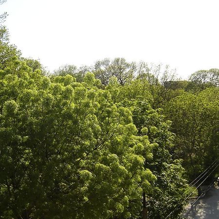 Central Park Family Hotel Kavarna Luaran gambar