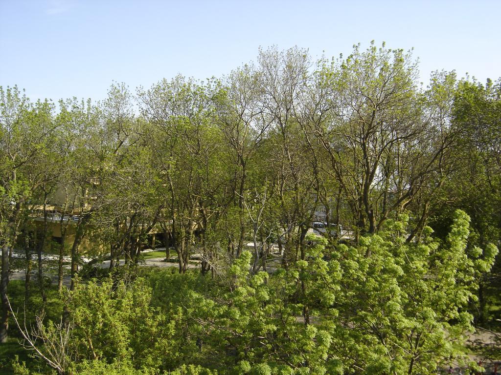 Central Park Family Hotel Kavarna Luaran gambar