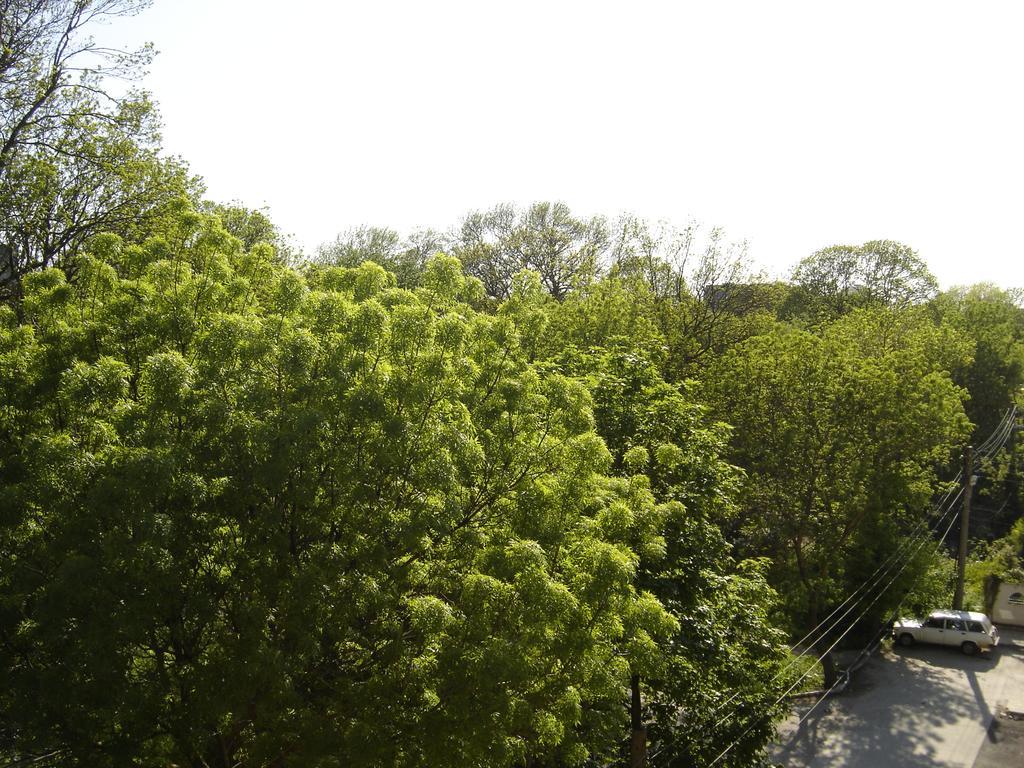 Central Park Family Hotel Kavarna Luaran gambar